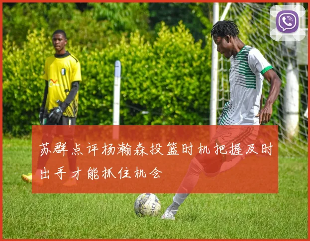 苏群点评杨瀚森投篮时机把握及时出手才能抓住机会