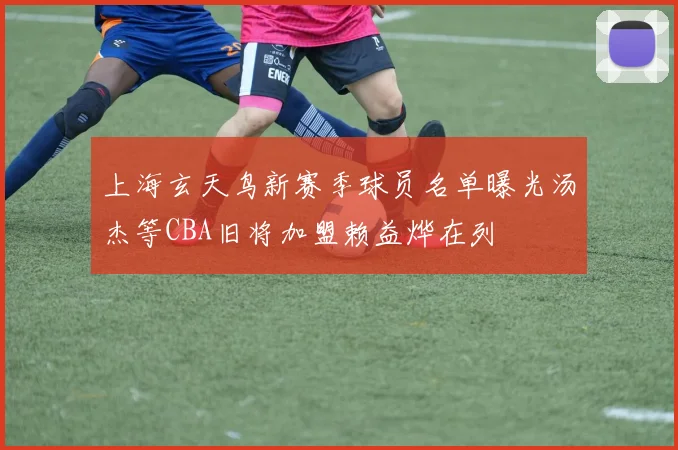 上海玄天鸟新赛季球员名单曝光汤杰等CBA旧将加盟赖益烨在列