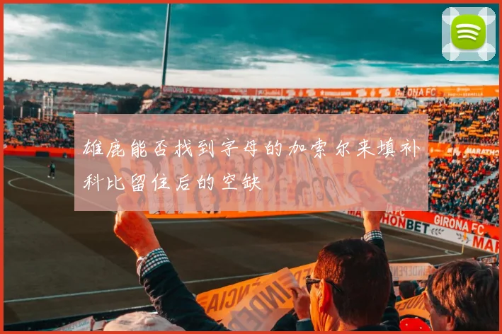 雄鹿能否找到字母的加索尔来填补科比留住后的空缺